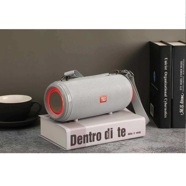 اسپیکر قابل حمل تی اند جی مدل TG-537