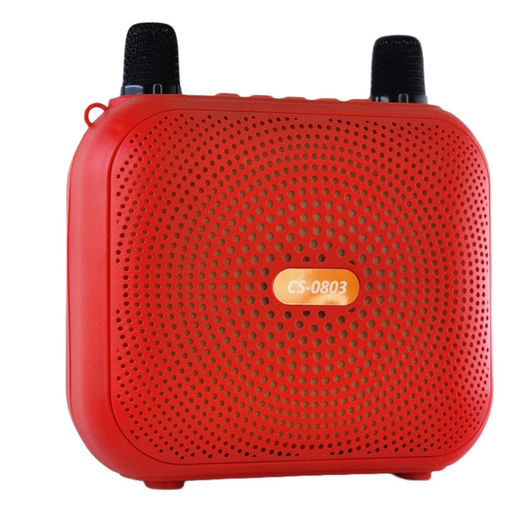 اسپیکر بلوتوثی قابل حمل مدل RGB CS-0803