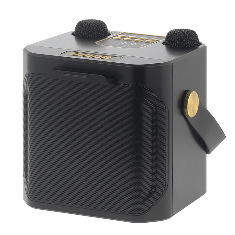 اسپیکر بلوتوثی قابل حمل آنیکو مدل CH-882