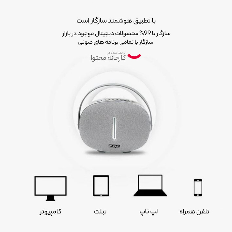 اسپیکر بلوتوثی قابل حمل دبلیو-کینگ مدل T8
