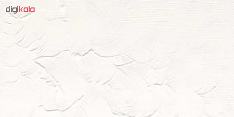 رنگ روغن وینزور اند نیوتون مدل TITANIUM WHITE 40 حجم 37 میلی لیتر