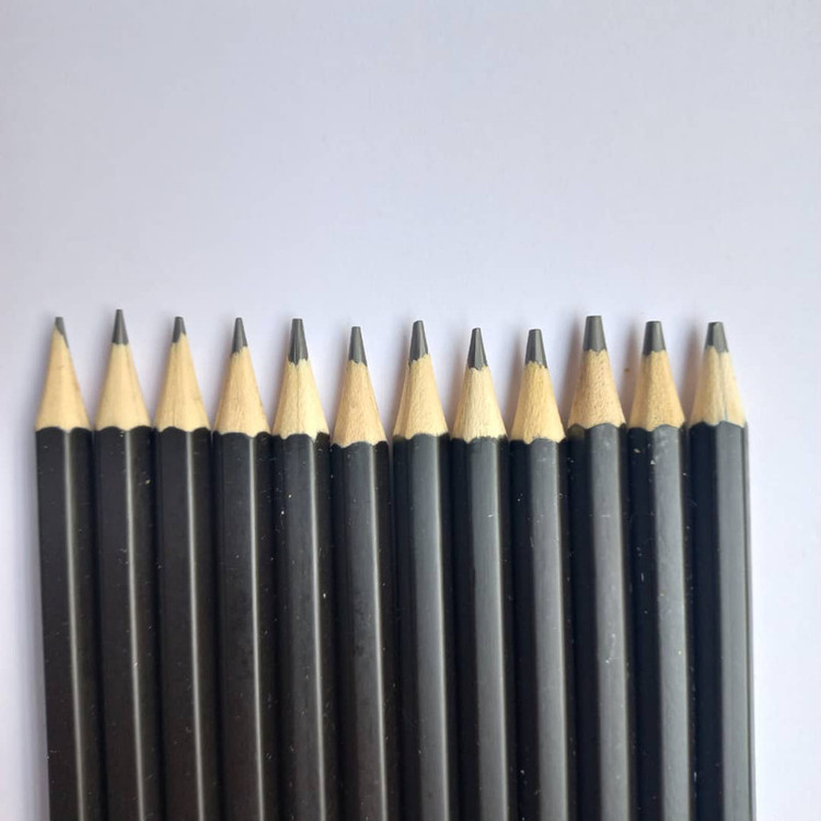 مداد طراحی ونیدز مدل ARTIST بسته 12 عددی