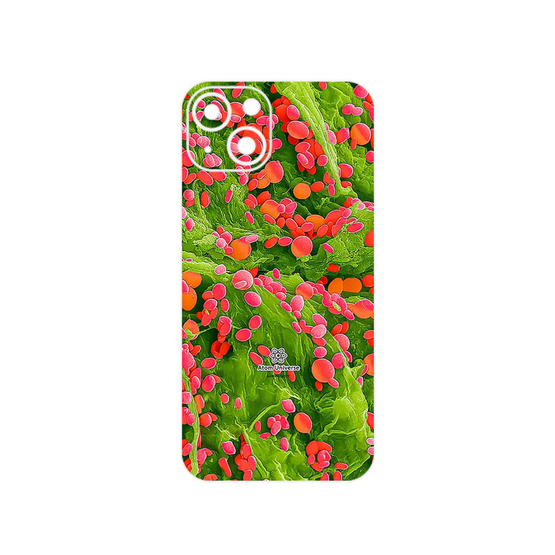 برچسب پوششی ماهوت مدل Atom Universe 3 مناسب برای گوشی موبایل اپل iPhone 13