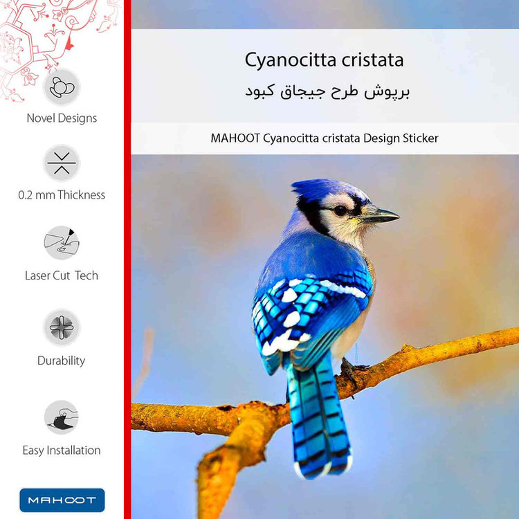 برچسب پوششی ماهوت مدل Cyanocitta cristata مناسب برای گوشی موبایل هوآوی Y5p