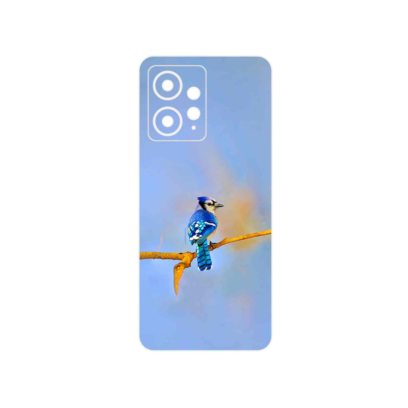 برچسب پوششی ماهوت مدل Cyanocitta cristata مناسب برای گوشی موبایل شیائومی Redmi Note 12 4G