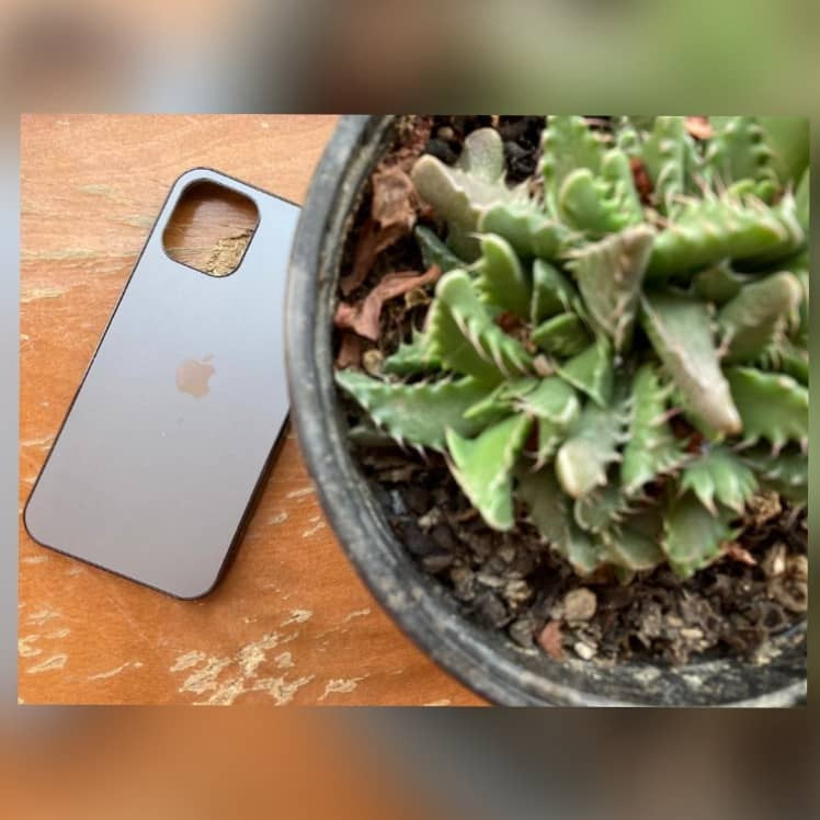 کاور مای کیس مدل IP-11P مناسب برای گوشی موبایل اپل iphone 11 pro