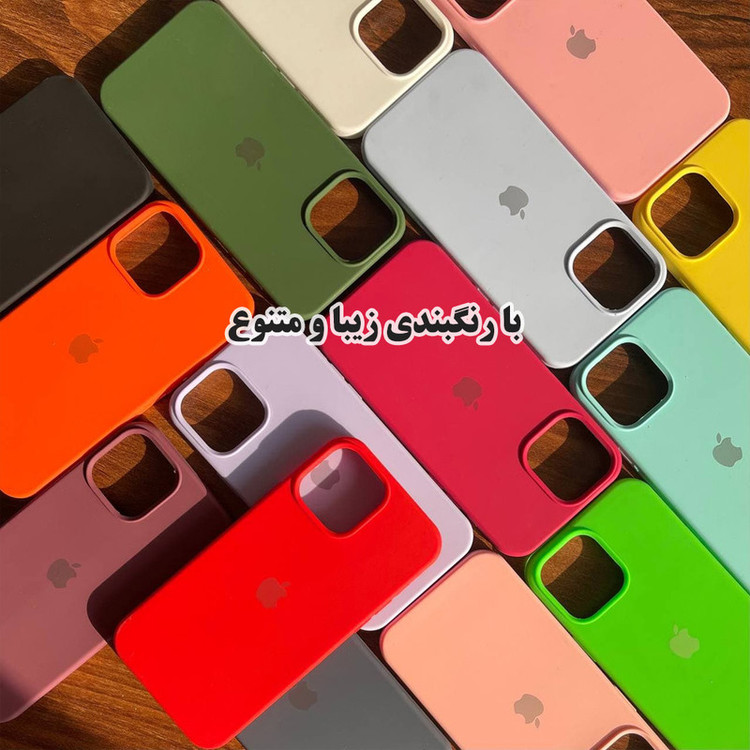 کاور قاب گارد مدل SILASLIG مناسب برای گوشی موبایل اپل iPhone 11 Pro