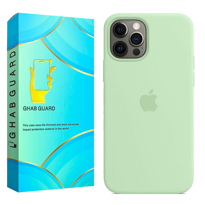 کاور قاب گارد مدل SILASLIG مناسب برای گوشی موبایل اپل iPhone 11 Pro