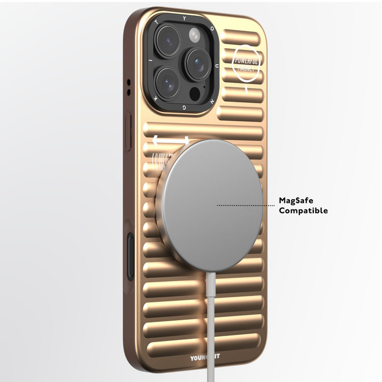 کاور یانگ کیت مدل True Color مناسب برای گوشی موبایل اپل iPhone 16 pro max
